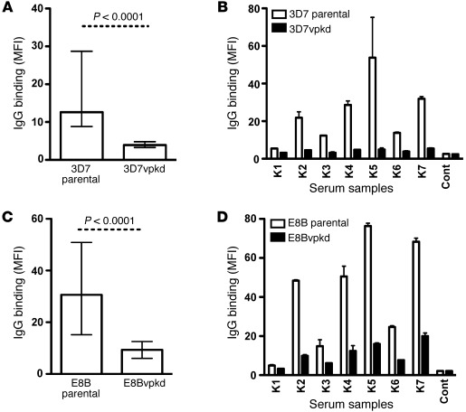 Antibodies among sera from Kenyan adults to surface antigens expressed b...