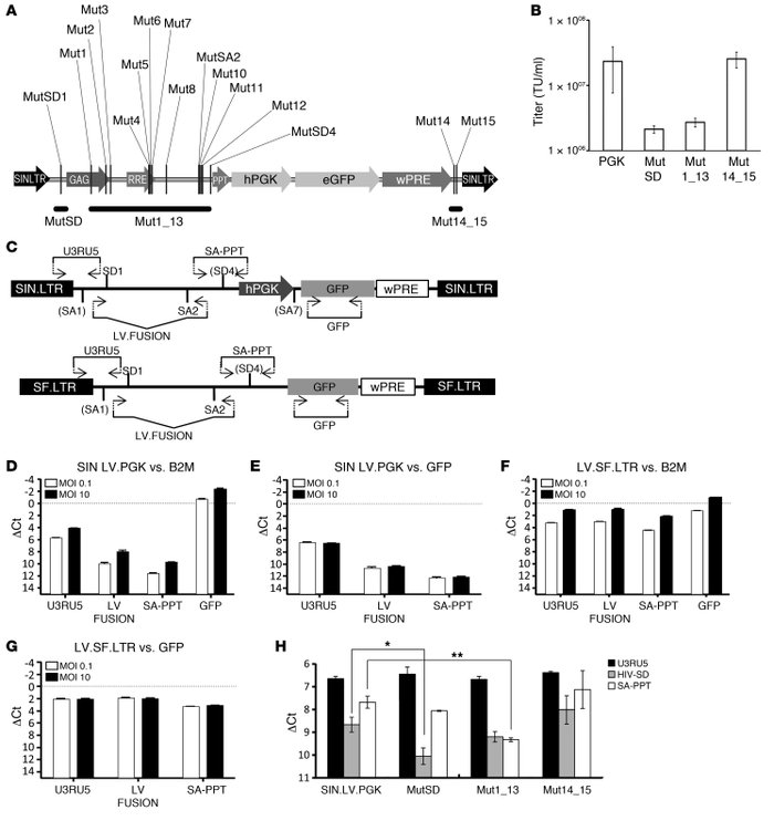 Representation of aberrant splicing events within the LV backbone and qu...