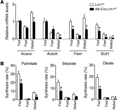 Reduced de novo lipogenesis in Alb-Cre;Lrh1fl/fl mice.
 
(A) Hepatic lip...