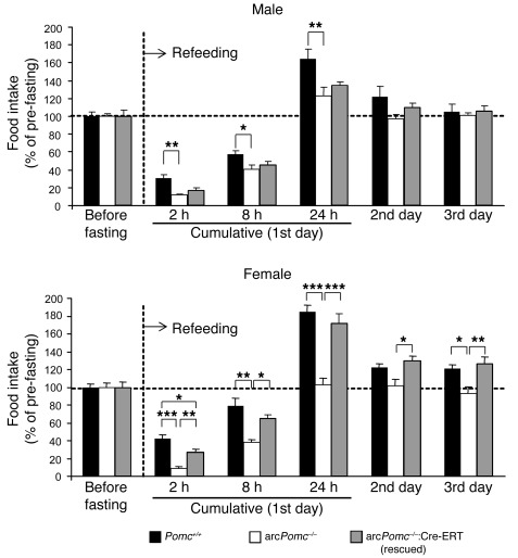 
Pomc rescue restores compensatory hyperphagia induced by food deprivati...