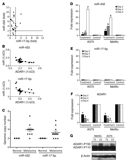 Genomic and epigenetic regulation of miRNAs that target ADAR1.
(A) Fold ...