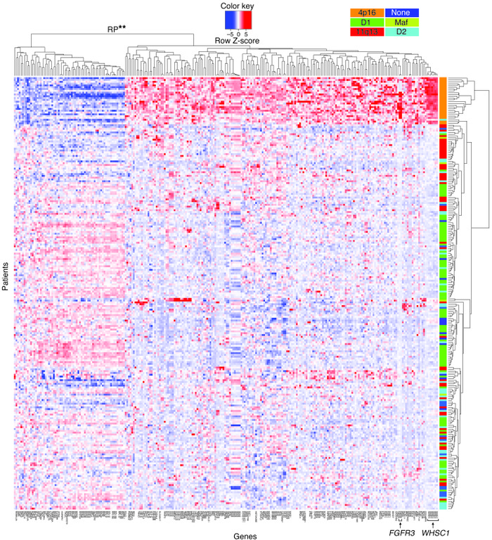 A t(4;14) gene expression signature defined by mRNA expression microarra...