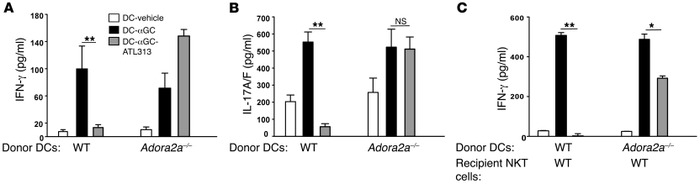Adoptive transfer of DCs-αGC-ATL313 reduces NKT cell activation.
(A and ...