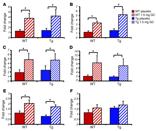 Targeted disruption of glucocorticoid signaling in osteoblasts does not ...