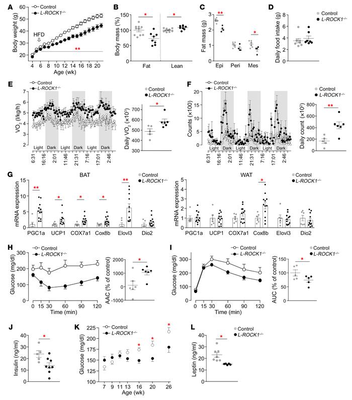 Hepatic ROCK1 deficiency protects from diet-induced obesity and insulin ...