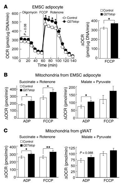 SFRP5 regulates adipocyte respiration and mitochondrial function.
(A) Hi...