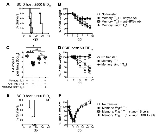 Memory CD4+ T cell protection requires IFN-γ in the absence of host lymp...