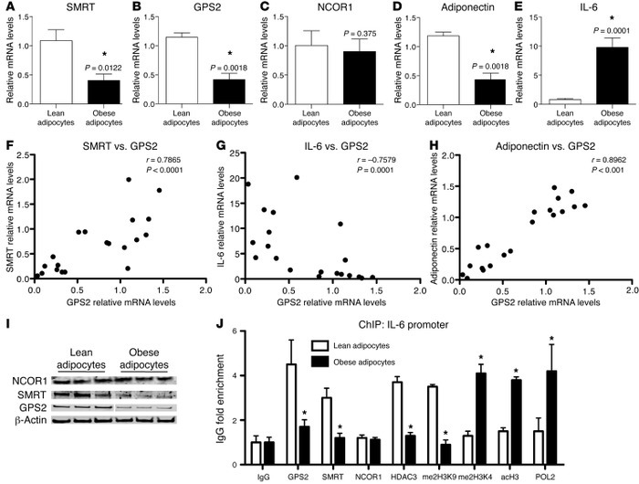 Adipocyte inflammation is associated with clearance of the SMRT-GPS2 com...