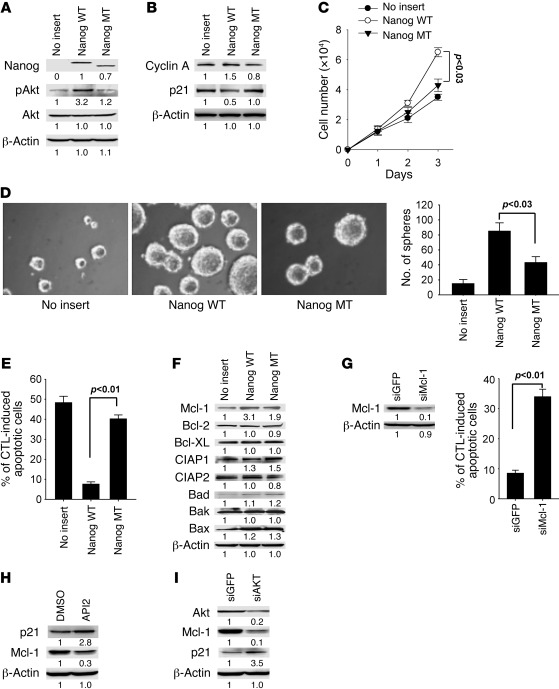 The transcriptional function of Nanog is required for it to induce a ste...