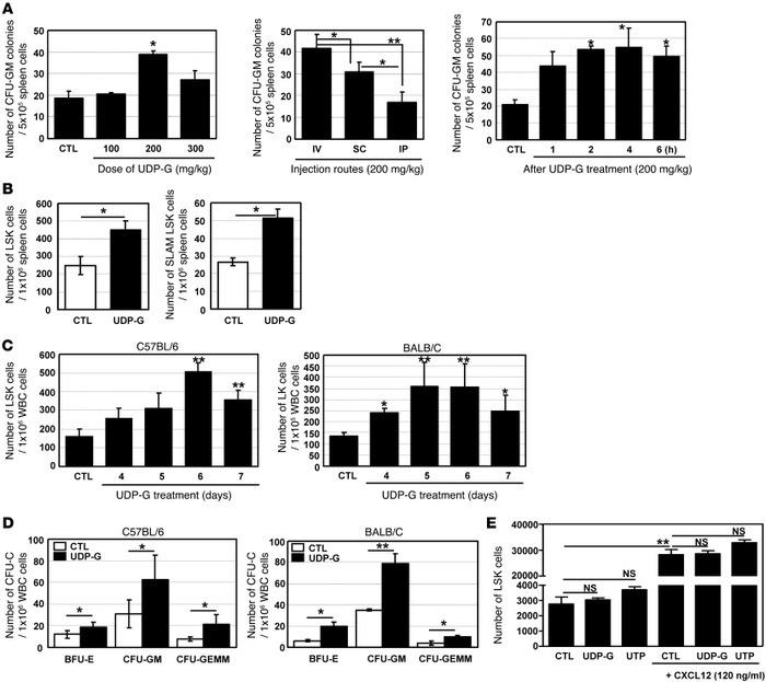 HPC mobilization with UDP-Glc.
(A) The effects of doses and injection ro...