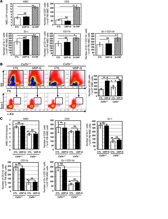 UDP-Glc causes no significant alterations in PB wbc.
(A) B6 mice were in...