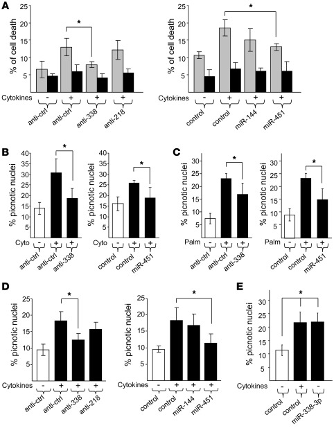 Inhibition of miR-338-3p protects β cells against apoptosis.
Dissociated...