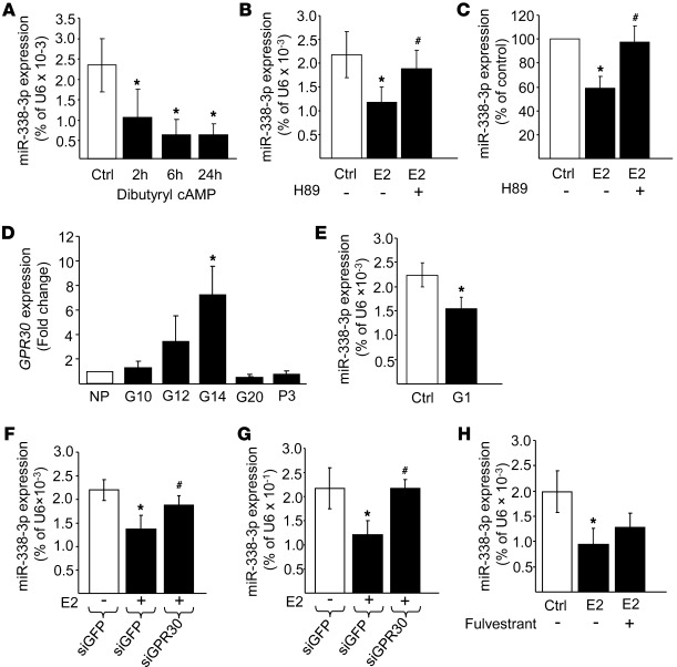 17-β estradiol controls miR-338-3p expression through activation of GPR3...