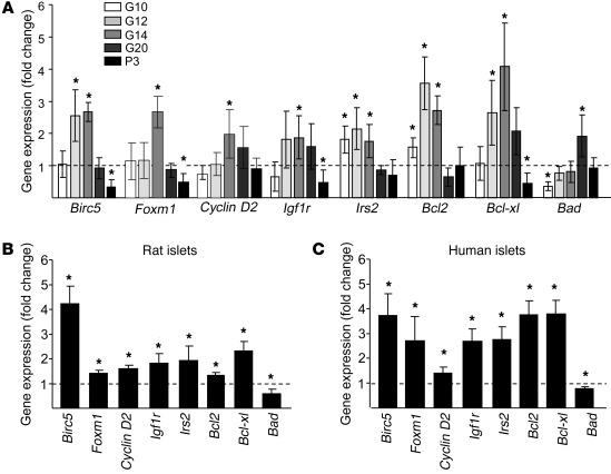 miR-338-3p inhibition elicits gene expression changes analogous to those...