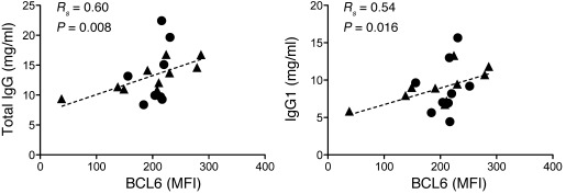Hypergammaglobulinemia is associated with BCL6 expression in TFH cells.
...