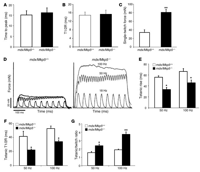 EDL muscle contractile properties of MKP-5–deficient mdx mice.
 
(A–C) S...