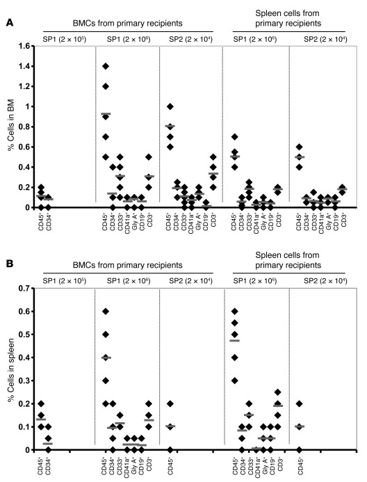 Secondary transplantation of splenic MF CD34+ cells.
 
Human cells isola...