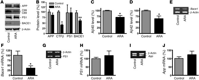 ARA inhibits BACE1 cleavage of APP and Aβ production in vivo.
(A) Hemi-b...