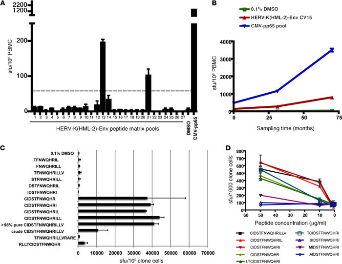 Identification of a HERV-K(HML-2)-Env–specific CD8+ T cell response and ...