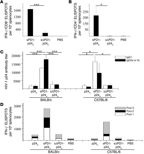 Comparison of sPD1-p24fc elicited antigen-specific immunity in 2 mice mo...