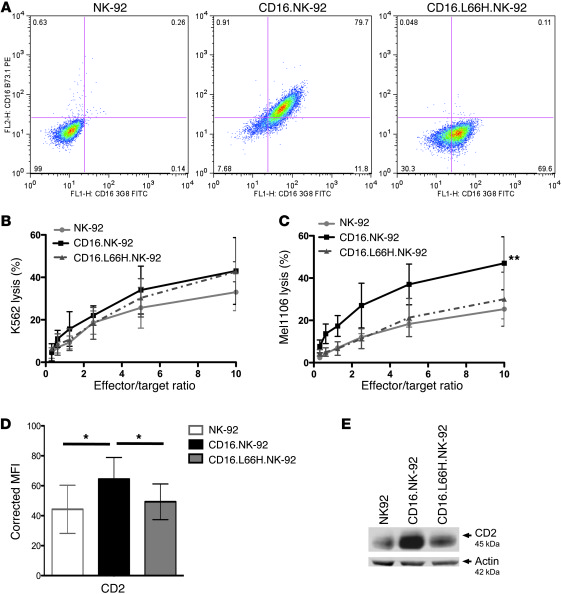 The CD16.L66H.NK-92 cell line phenotypically and functionally recapitula...