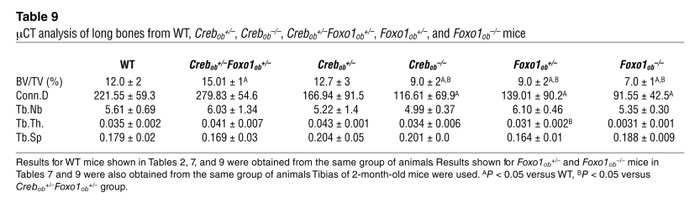 μCT analysis of long bones from WT, Crebob+/–, Crebob–/–, Crebob+/–Foxo1...