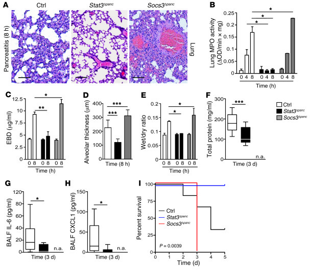Phosphorylation of STAT3 in the pancreas contributes to systemic complic...