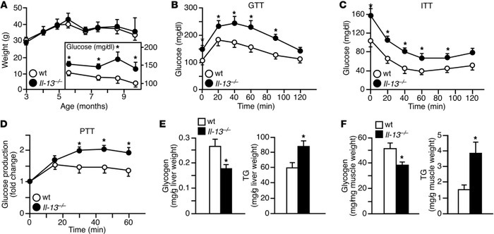 Hyperglycemia and increased hepatic glucose production in high-fat diet–...