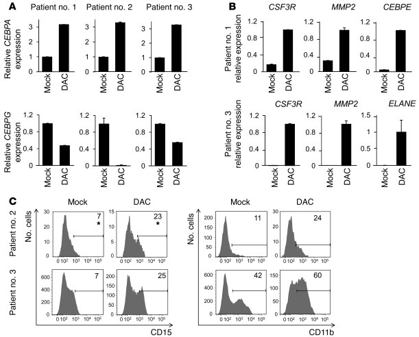 DAC treatment restores the C/EBPα-C/EBPγ balance and promotes differenti...