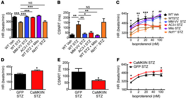 Intrinsic SND in diabetic mice.
Langendorff-perfused hearts from WT mice...