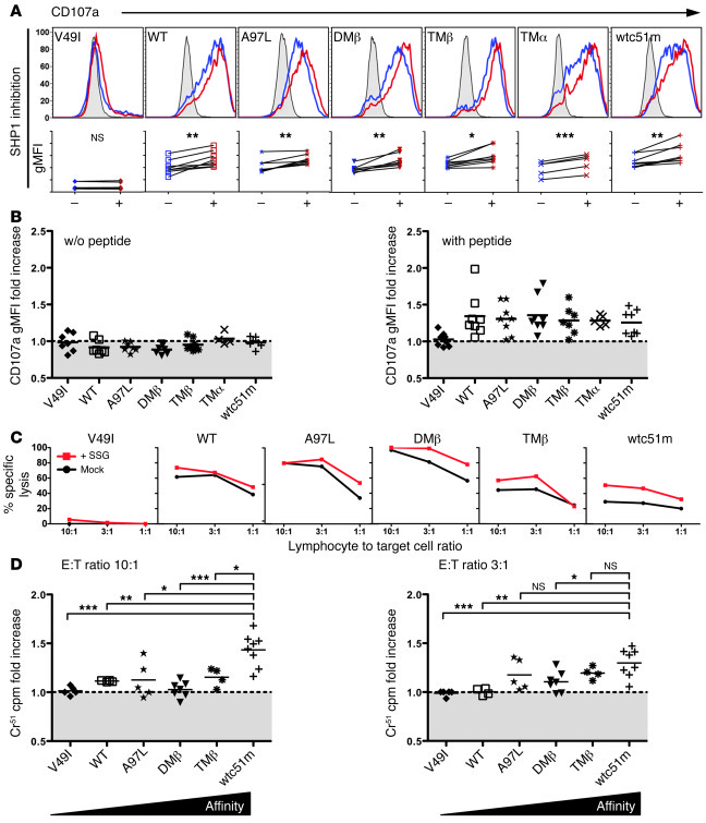 Pharmacological inhibition of SHP-1 phosphatase in TCR engineered CD8+ T...