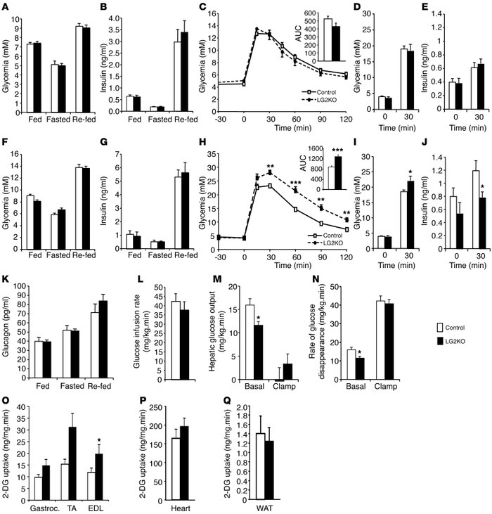 Progressive development of glucose intolerance in LG2KO mice.
(A–C) Five...