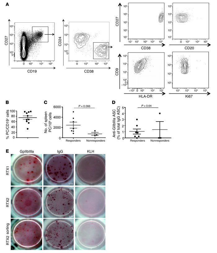 Autoreactive PC in patients with primary failure of rituximab.
(A) Flow ...