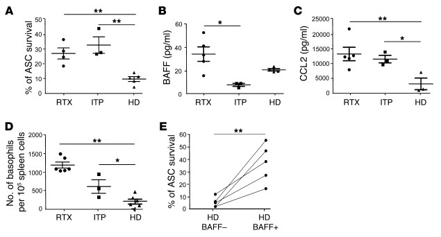 ASC in ITP display a prolonged in vitro survival within a specific cytok...