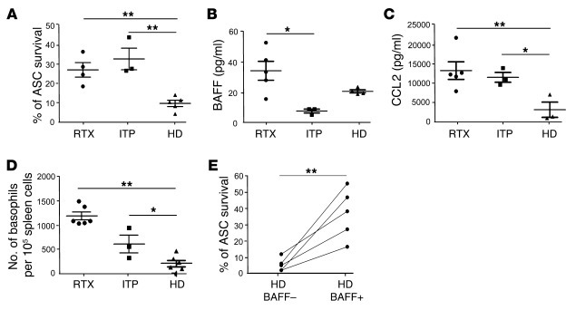 ASC in ITP display a prolonged in vitro survival within a specific cytok...