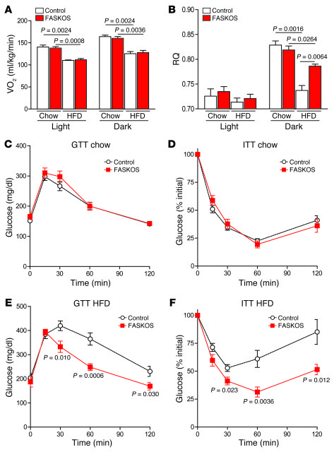 FASKOS mice are protected from diet-induced whole-body glucose intoleran...