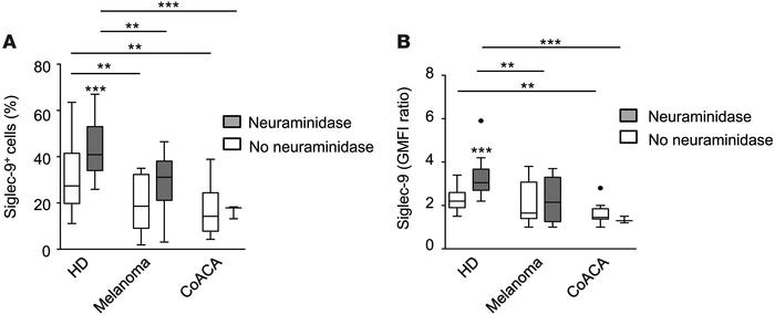 The CD56dimSiglec-9+ NK cell subset is reduced in the peripheral blood o...