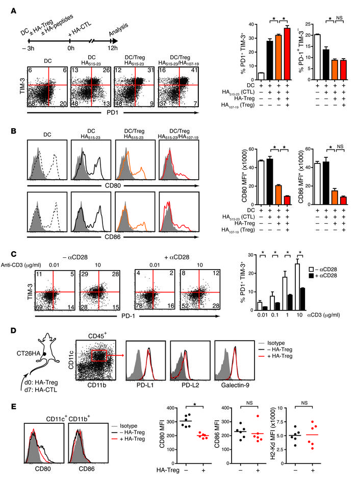 Tregs condition DCs to reduce their costimulatory activity and augment c...