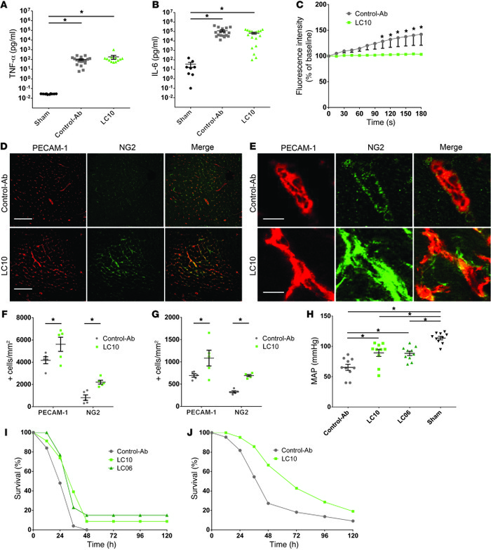 Inhibition of ANG2 reduces pericyte loss and mortality in a sepsis model...