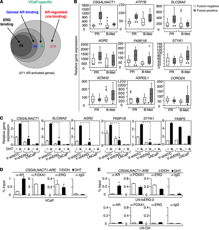 Identification of additional direct AR-regulated genes associated with T...