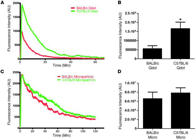 The enhanced clearance of nanoparticles by Th2 strains is not observed w...