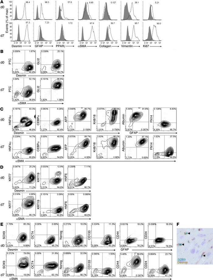 FACS evidence that HSCs and MF-HSCs are reprogrammable.
(A) Intracellula...