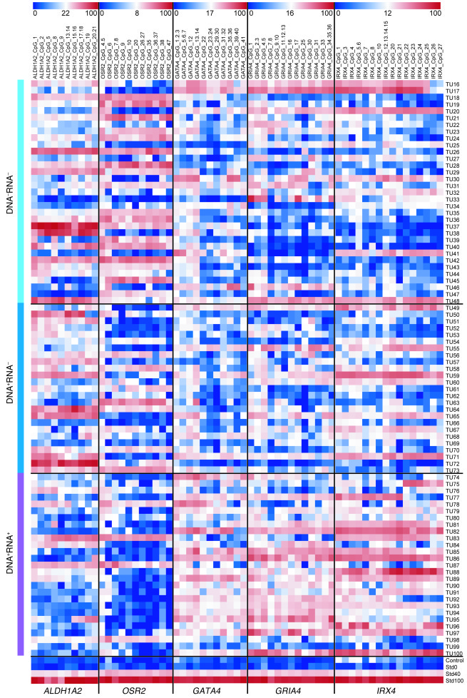 DNA methylation patterns of gene promoter DMRs for ALDH1A2, OSR2, GATA4,...