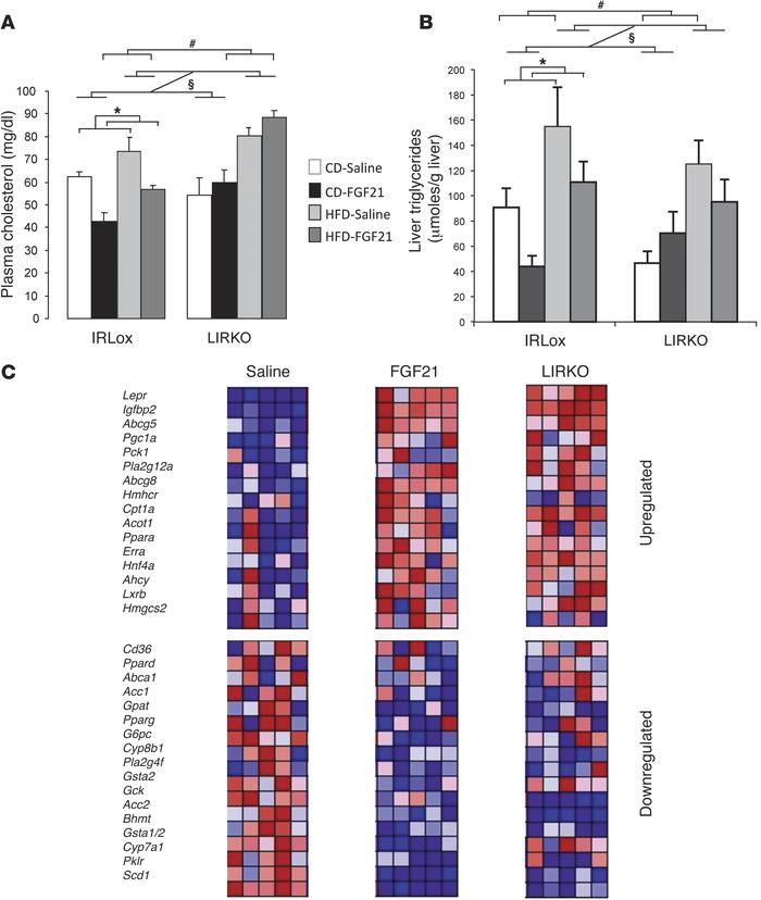 Lipid homeostasis and liver gene expression following FGF21 treatment.
C...