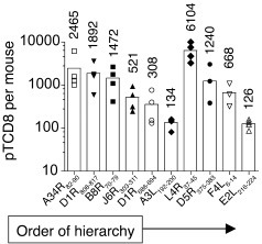 Frequency of naive pTCD8 that recognize the 10 naturally processed VACV ...