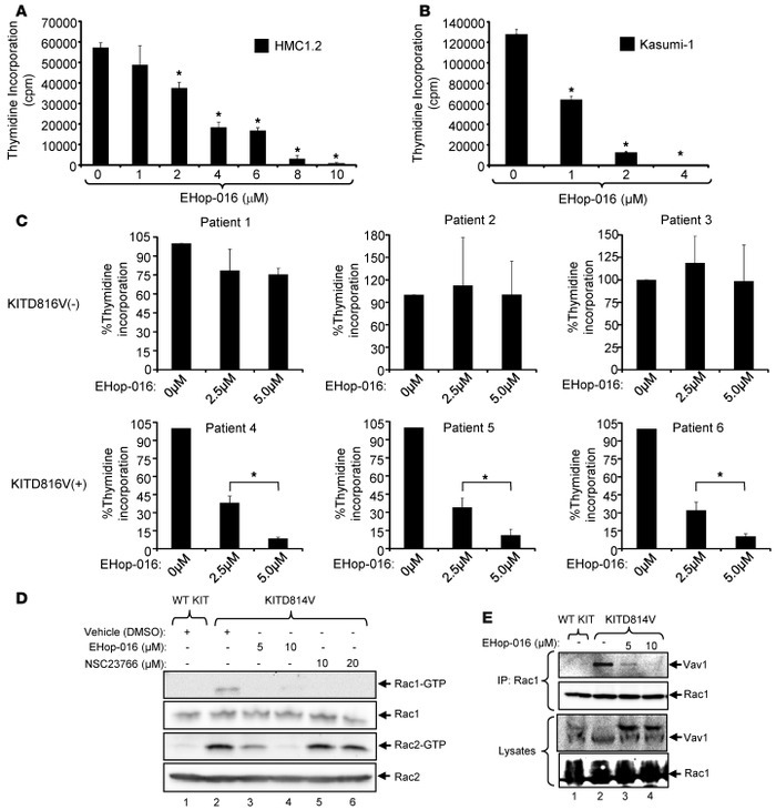 A novel Rac inhibitor, EHop-016, is a potent inhibitor of KITD814V-induc...