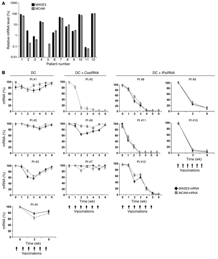 Detection of melanoma cells in peripheral blood by real-time qPCR.
cDNA,...