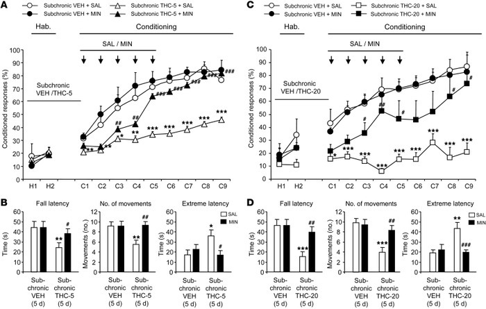 MIN treatment prevents the cerebellar deficits produced by THC exposure....