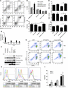 Targeting MDSC activation and signaling can improve suppressive BM microenv