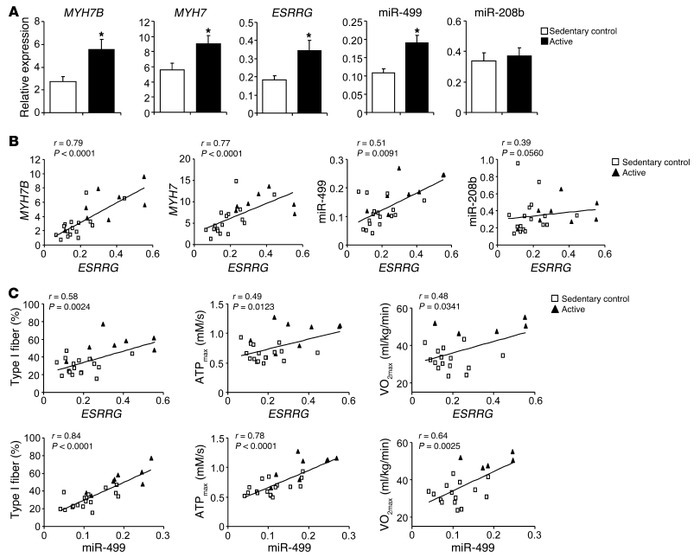 ERRγ/miRNA axis is associated with muscle contractile and metabolic prop...